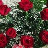 claudiasanti389